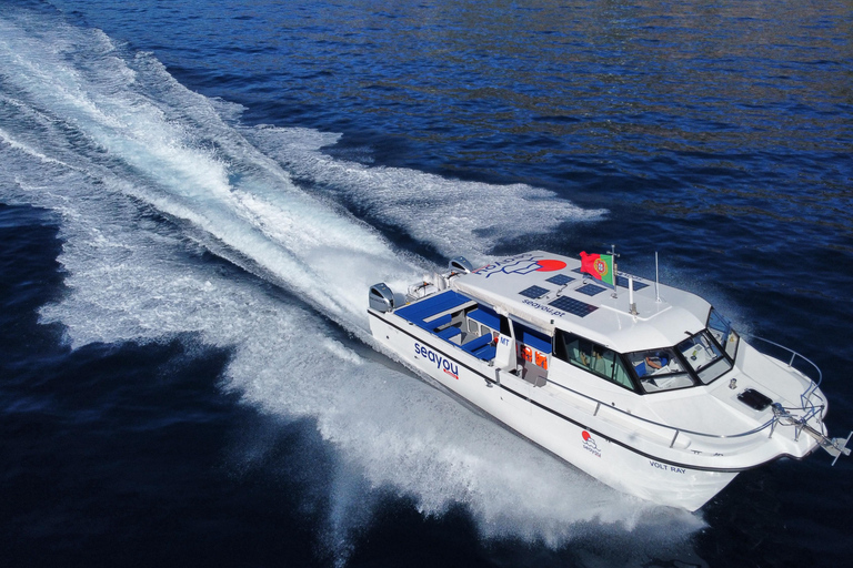 Calheta: Private Catamaran Tour - With Open Bar & Snacks Sunset Tour with Snorkeling & Paddleboarding/ Max 18 people