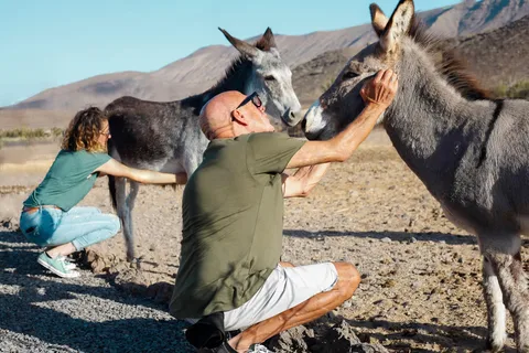 Visita guiada a la Granja Ecológica de Fuerteventura con almuerzo opcional