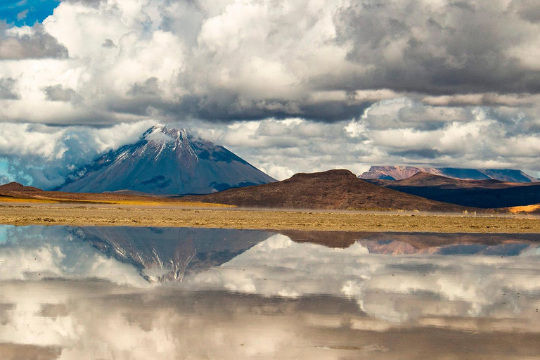 Arequipa: tour di Salinas e Aguada Blanca con lezione di cioccolatoArequipa: tour delle saline e di Aguada Blanca con lezione di cioccolato