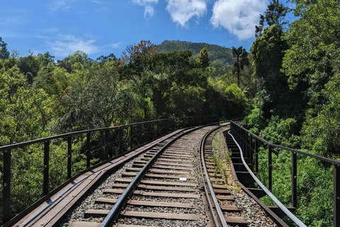 Ella: Pekoe Trail Stage 15 Guided Hike (Makulella to Ella)