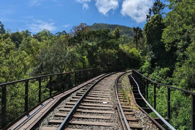 Ella: Pekoe Trail Stage 15 Guided Hike (Makulella to Ella)