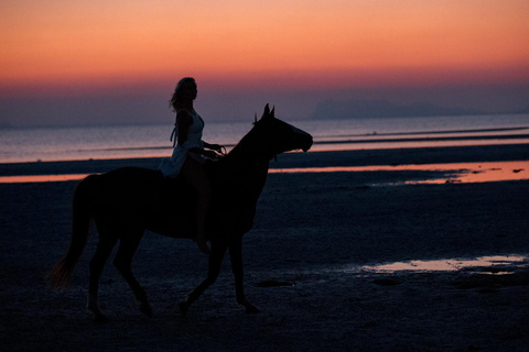 Viaggio a cavallo sulla spiaggia al tramonto di Phuket