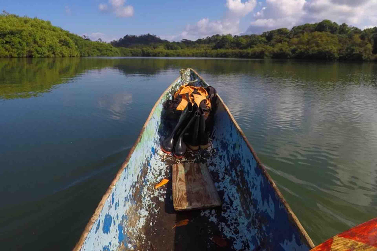 Panama City: Portobelo Jungle, Reef & Venas Azules Tour