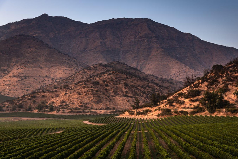 Viña Haras de Pirque Wine Experience