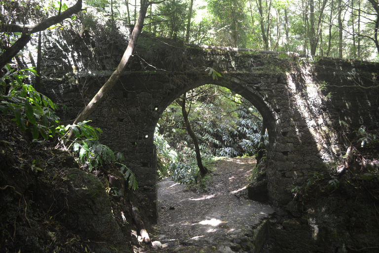 Sao Miguel Hike to Janela do Inferno and Lagoa do Fogo