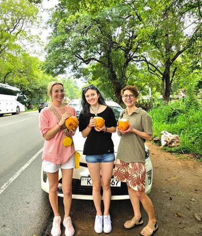 Kandy: To Airport/Colombo Transfer with Sightseeing(Private)
