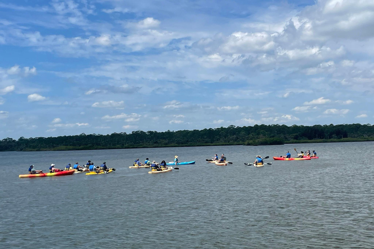 Daytona/New Smyrna Beach: Unforgettable Kayak Wildlife tours