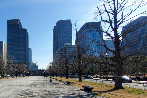 Tokyo : Visite d'une jounée privée avec chauffeur anglaisVisite d'une jounée privée personnalisée à Tokyo avec chauffeur anglais