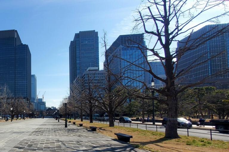 Tokio: Całodniowa prywatna wycieczka z angielskim kierowcąCałodniowa spersonalizowana prywatna wycieczka do Tokio z angielskim kierowcą