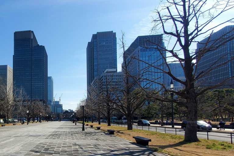 Tokyo: Privat heldagstur med engelsk chaufförHeldag Tokyo Personlig privat tur med engelsk förare