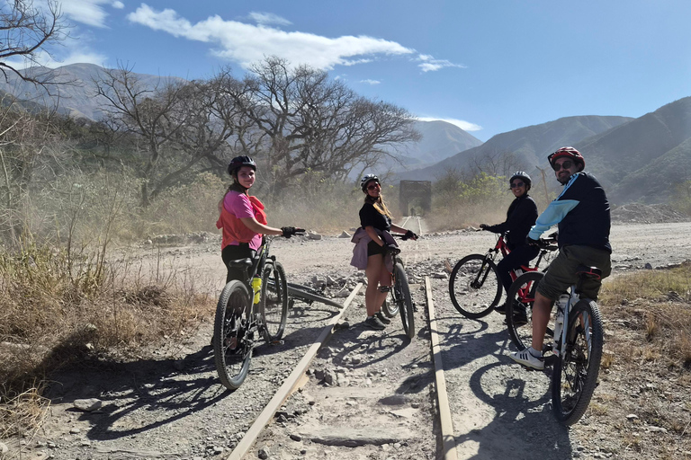 From Salta: Quebrada del Toro Mountain Bike Tour with Guide