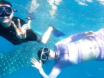 Cebu: Walhai, Tumalog Wasserfall und Moalboal Tour