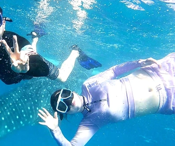 Cebu: Nadar com tubarões-baleia, Cascatas de Kawasan e Corrida das Sardinhas de Moalboal