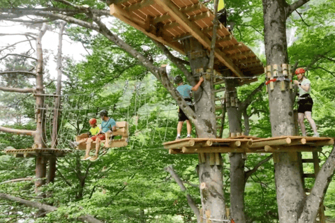 NOD Adventure Park Entry Ticket with 5 Courses & Ziplines
