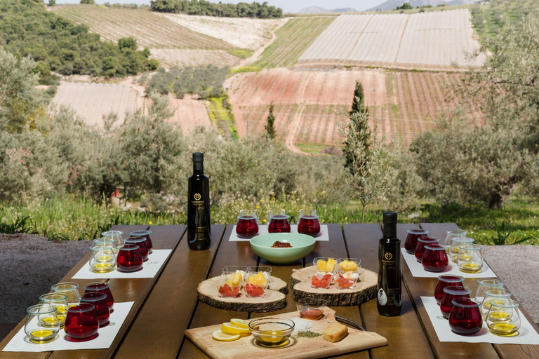 From Nafplion: Argos Castle & Olive Tasting Experience