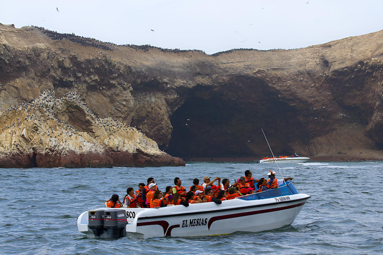 Lima: Paracas, Ica & Huacachina spiritual and adventure tour