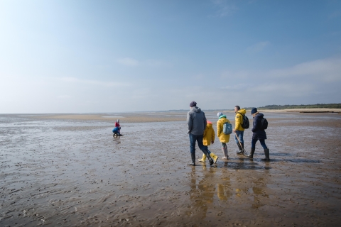 Sylt: Guided Mudflat Hike on the Island