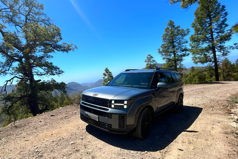 Gran Canaria: Eco Adventure 4x4 Tour with Local Guide