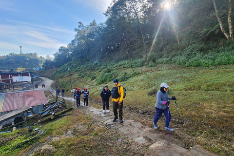 Mardi Himal Trek in Nepal