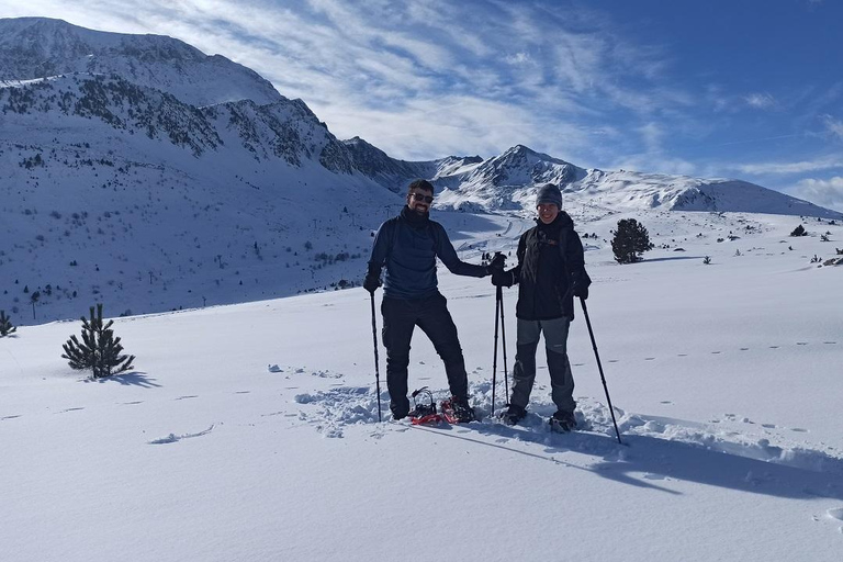 Cerdanya: Snowshoe tour through the forests and lakes of the Pyrenees