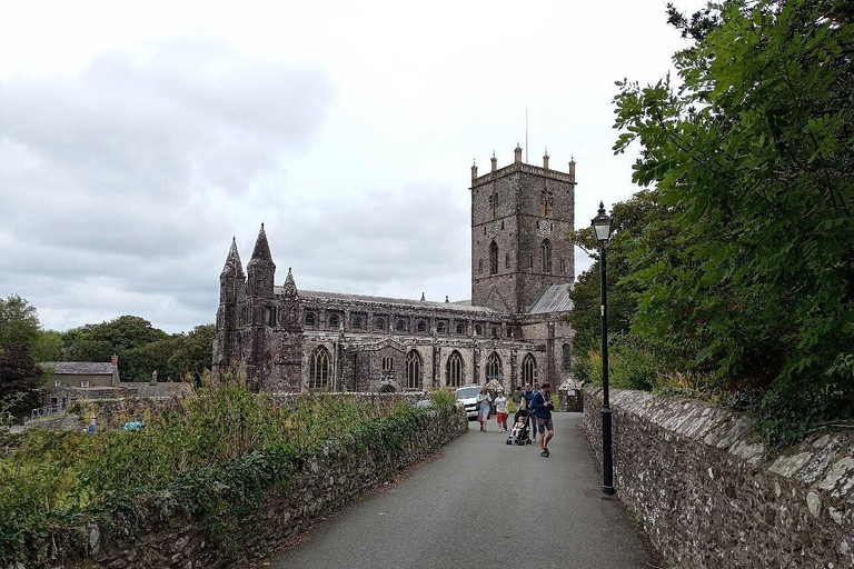 Cardiff: Pembrokeshire Coast & St. Davids Private Voyage