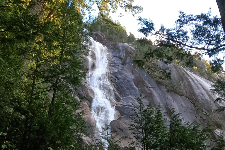 جولة ويسلر، جندول سي تو سكاي، شلال شانون وبحيرة جريناجعل جولتك خاصة