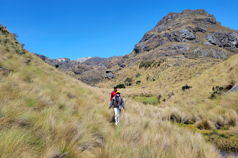 Halbtagesausflug in den Cajas-NationalparkGemeinsame Tour