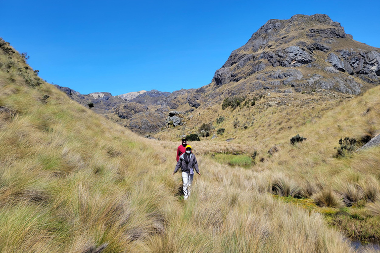 Cajas nationalpark halvdagsutflyktPrivat tur