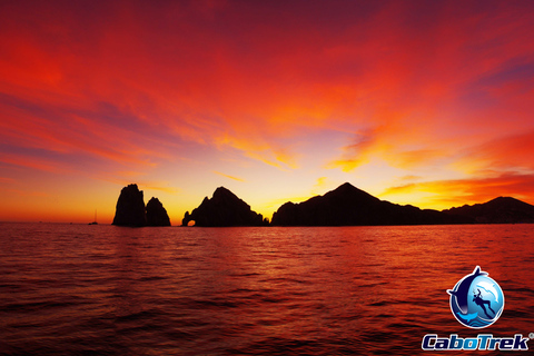 Sunset Whale Watching Cruise in Cabo San Lucas