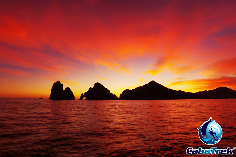 Sunset Whale Watching Cruise in Cabo San Lucas