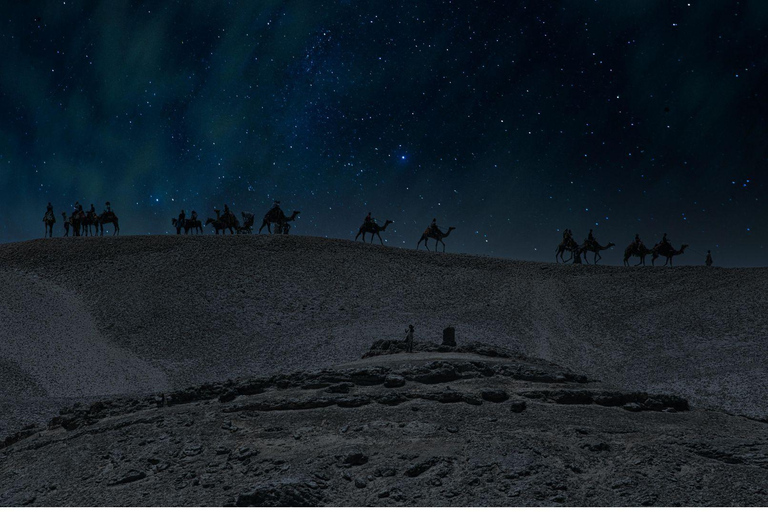 Guided Night Desert Safari in Qatar: Moonlit Dunes, Stars