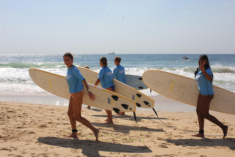 Brisbane to Sydney Surf Tour: All Levels