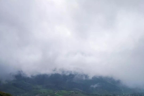 Klein Munnar: Vagamon Serene Teegärten, Wiesen und Wälder