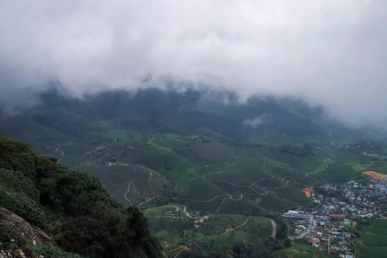Klein Munnar: Vagamon Serene Teegärten, Wiesen und Wälder