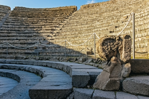 Vanuit Napels: excursie van een halve dag naar PompeiiTour in kleine groep - 08:00 uur