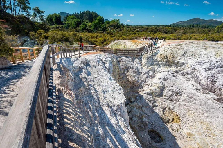 Tauranga: Wai-O-Tapu Thermal Wonderland Cruise Ship Tour