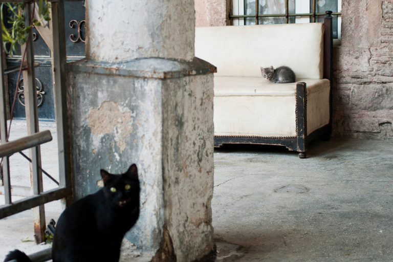 İzmir: City Walking Tour with the Old Bazaar