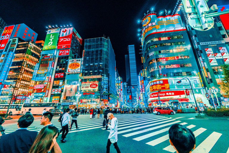 HND Airport Private Transfer to/from Tokyo City Center Arrival: HND Airport to Hotel in Tokyo City Center