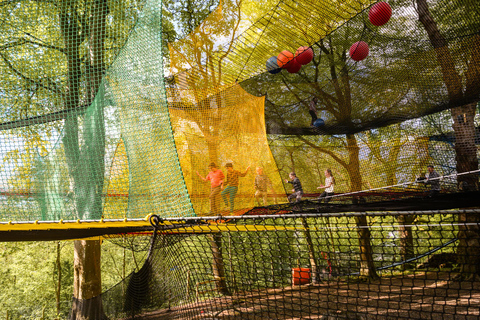 Windermere: Treetop bouncy nets (Treetop Nets)