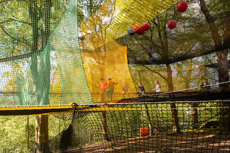 Windermere: Treetop bouncy nets (Treetop Nets)