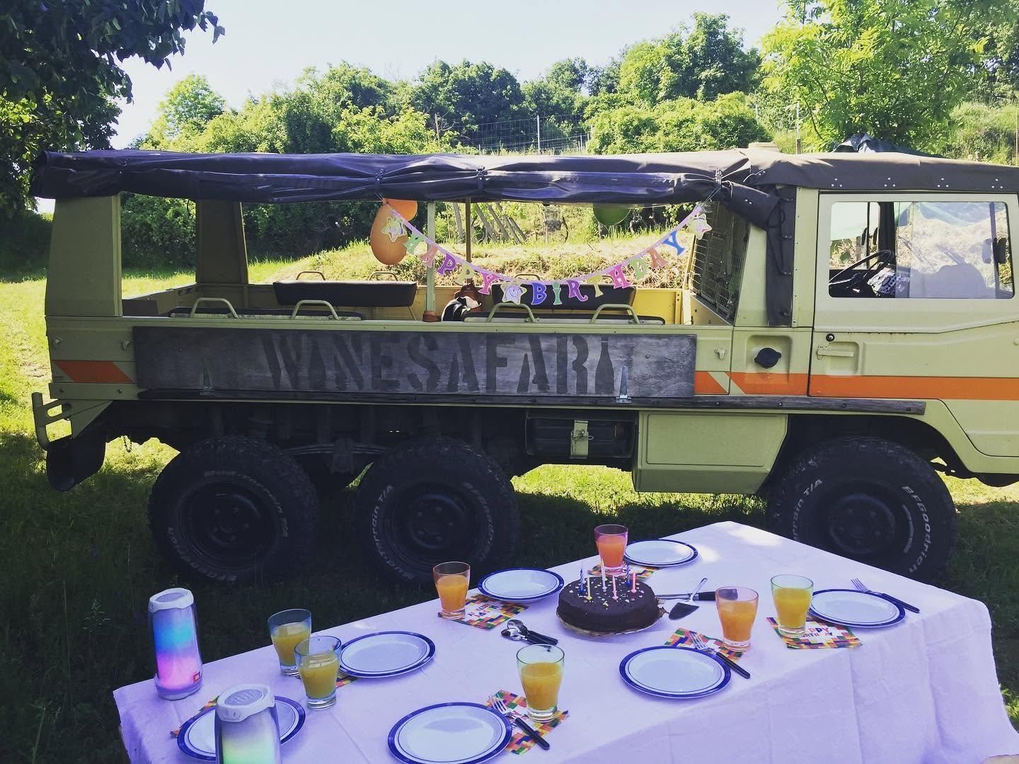 Svatý Jur: Wein-Safari-Tour