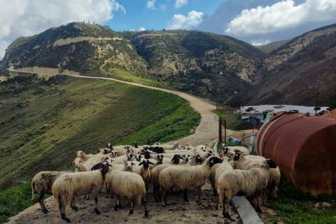 Pafos: Excursión de un día a los Montes y Pueblos de Troodos