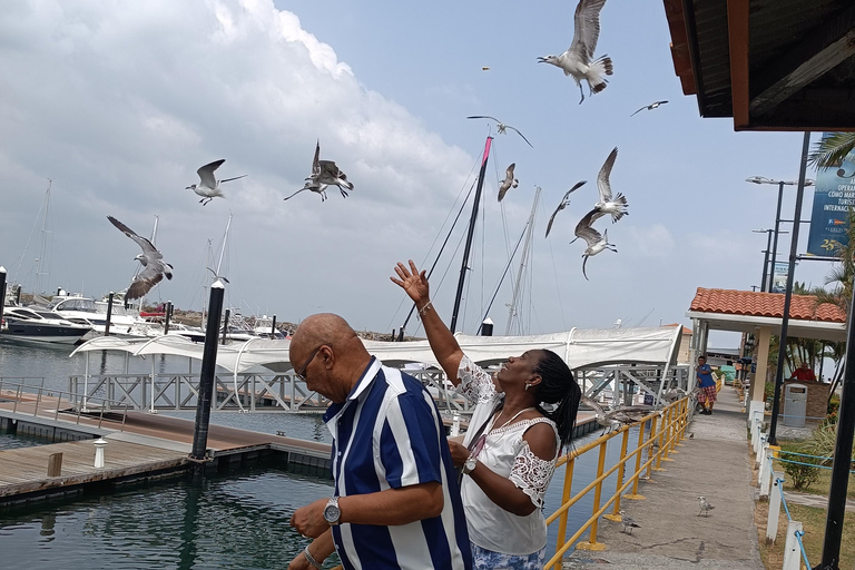 Panama stad: lekenrondleidingPanama stad: Privétour met overstap