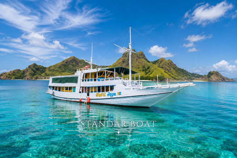 Labuan Bajo: 5-Day Komodo to Gili Trawangan Whale Shark Tour Standart Boat | Sharing Deck | No WHALE SHARK