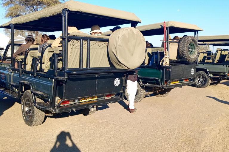 From Livingstone:Chobe National Park Small Group Day Trip