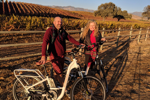 Santa Barbara : Visite de la région viticole en E-Bike avec dégustations et déjeuner