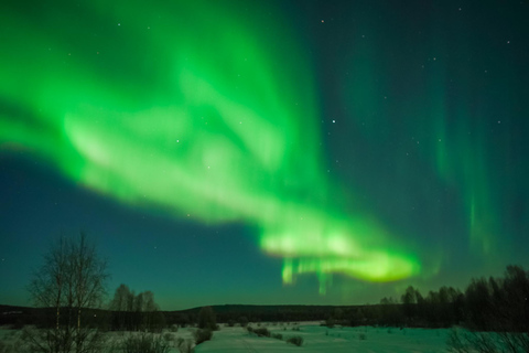 Tromsö: Norrskenstur med garanterade observationer