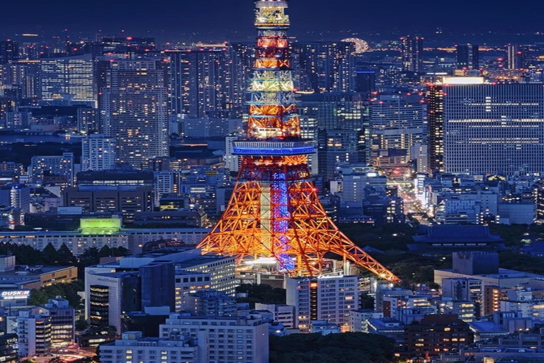 Tokyo Private Full-Day Customizable Tour with English Guide