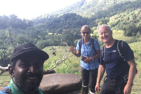 Kandy: Knuckles Mountain Range Guided Trekking Tour