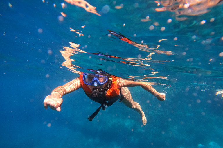 Teneryfa: Kayak con Snorkel, odkrywaj tortugas i delfinesTeneryfa: kajaki i snorkeling z tortugas i delfines